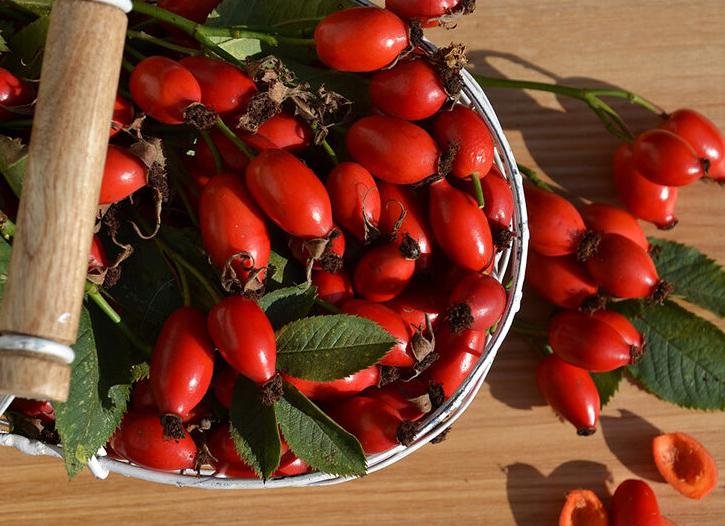 Как правильно заваривать шиповник: сохраняем витамины