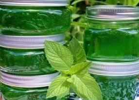 Мята на зиму